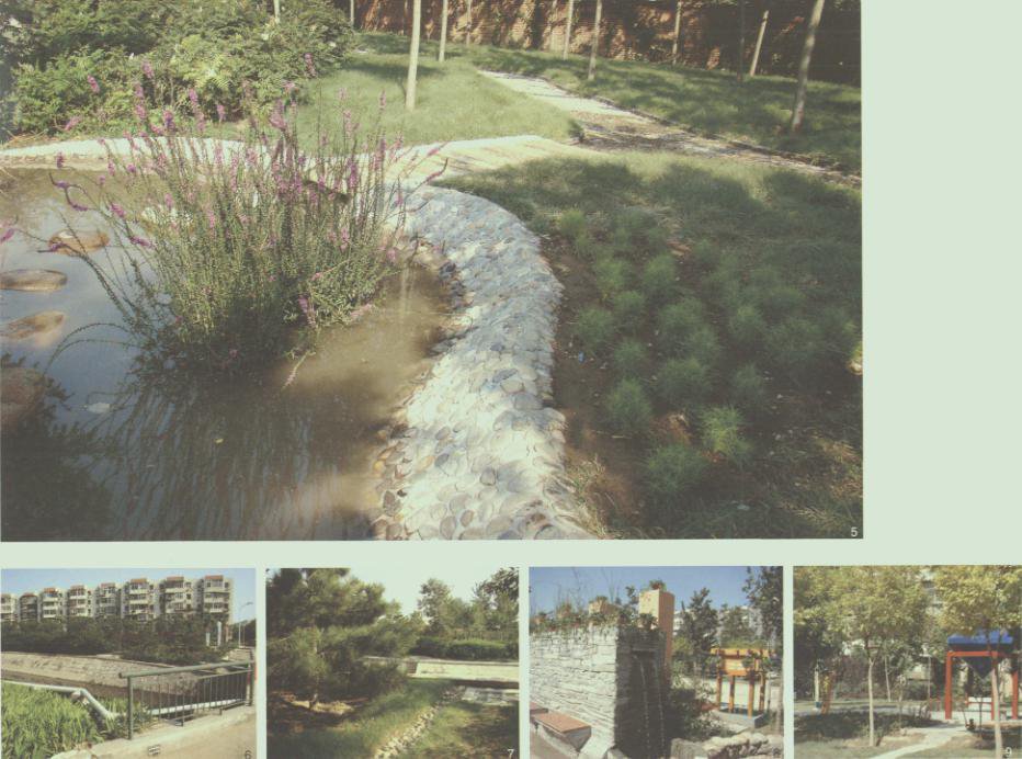 城市园林绿地雨水收集方案插图5