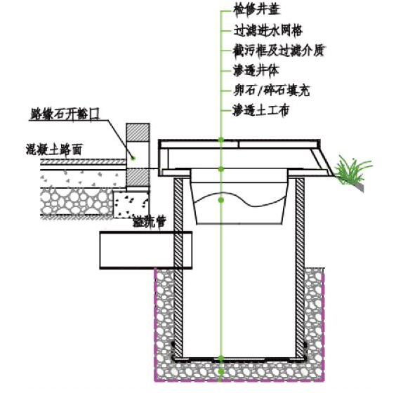 截污雨水口插图2