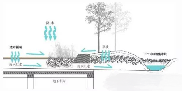 雨水收集新方式插图1