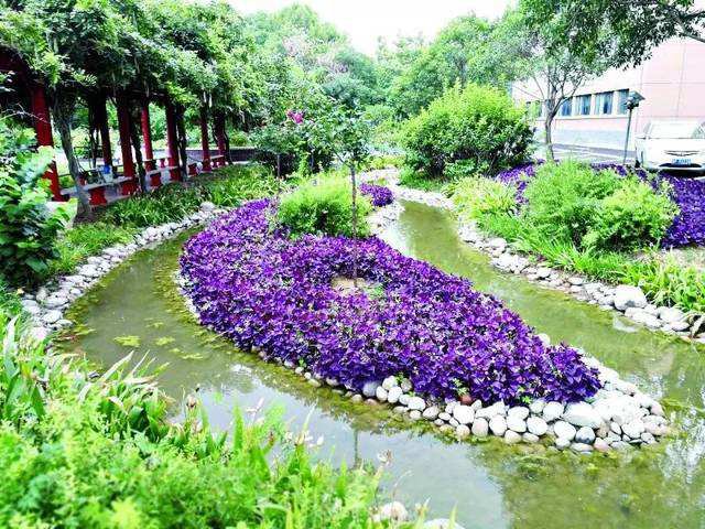 推进海绵城市建设，力争留住70%左右的雨水插图