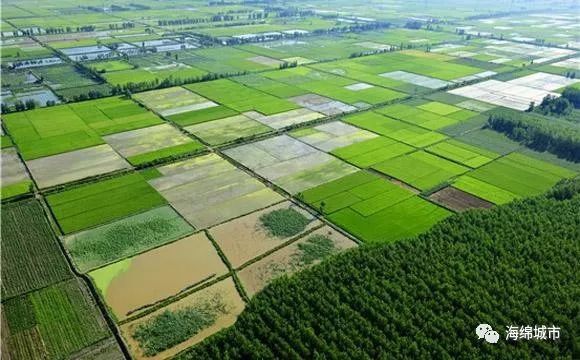 海绵城市