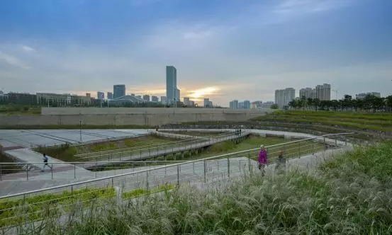 迁安市滨湖东路集雨型绿地示范项目实景