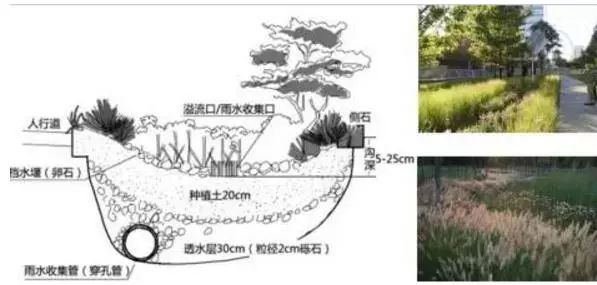 雨水收集可以干什么插图1