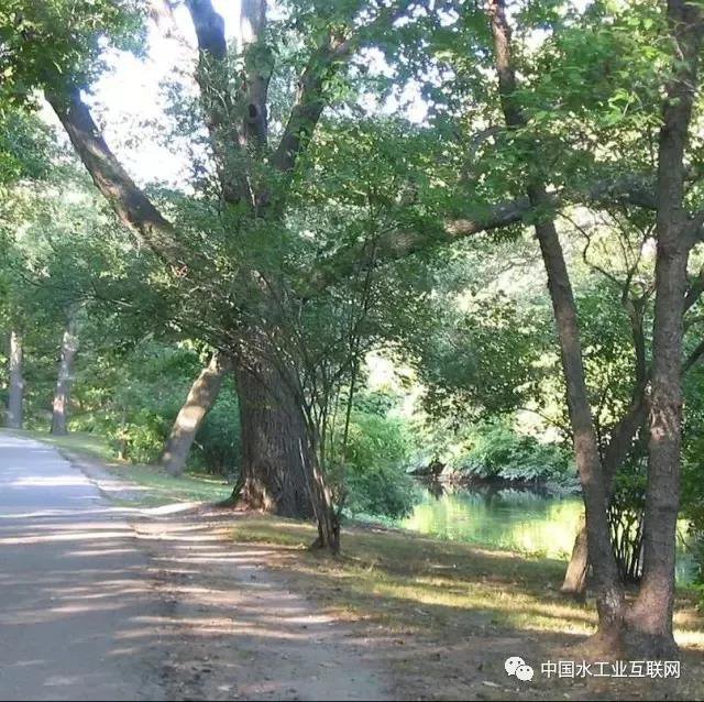 以历史经验为训的海绵城市插图20