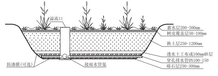 复杂型生物滞留设施典型构造示意图