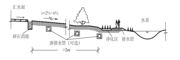 植被缓冲带典型构造示意图