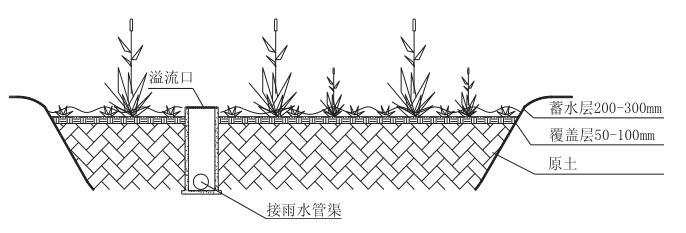 简易型生物滞留设施典型构造示意图