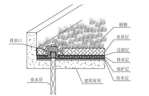 绿色屋顶的典型构造