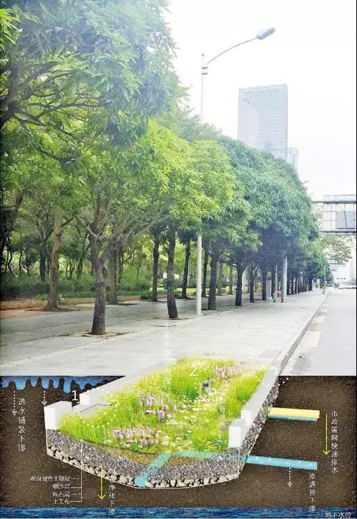 城市道路雨水收集系统插图2