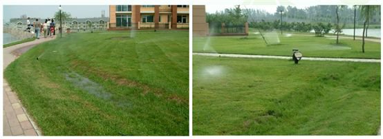 城市水资源短缺与雨水收集系统利用插图2