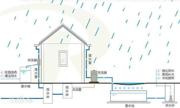 雨水收集主要收集哪些雨水插图