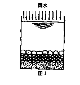 怎么收集利用雨水资源插图