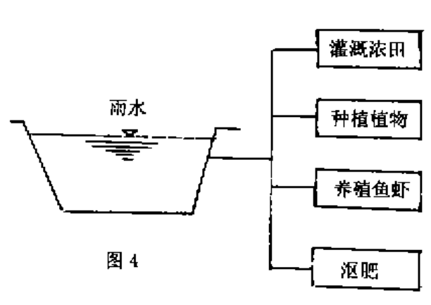 怎么收集利用雨水资源插图1