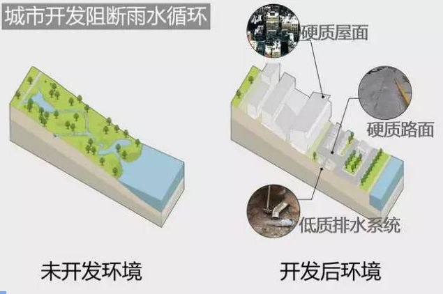 怎么解决暴雨季城市内涝问题插图