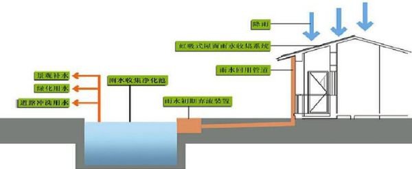 为什么要做雨水收集插图1