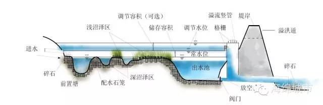 雨水湿地