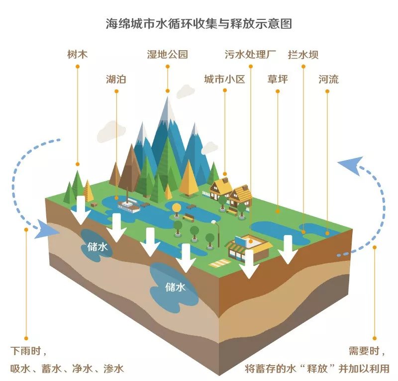 海绵城市水循环收集与释放示意图