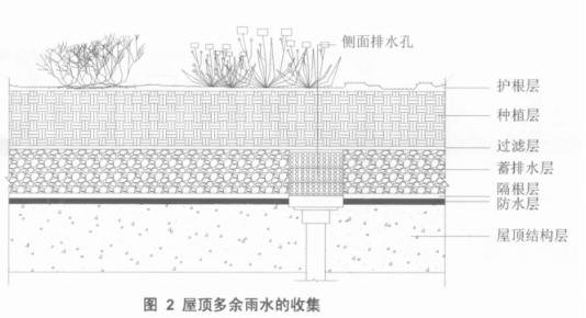 屋顶绿化对城市雨水回用的作用插图2