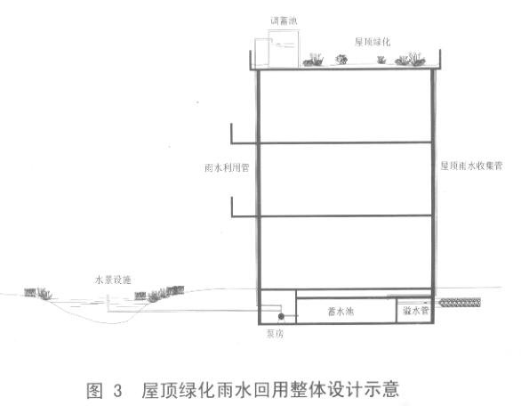 屋顶绿化对城市雨水回用的作用插图3