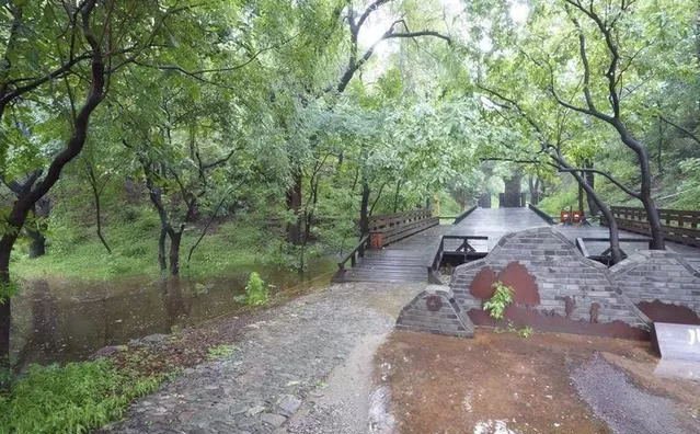 外国是怎么收集雨水的插图3