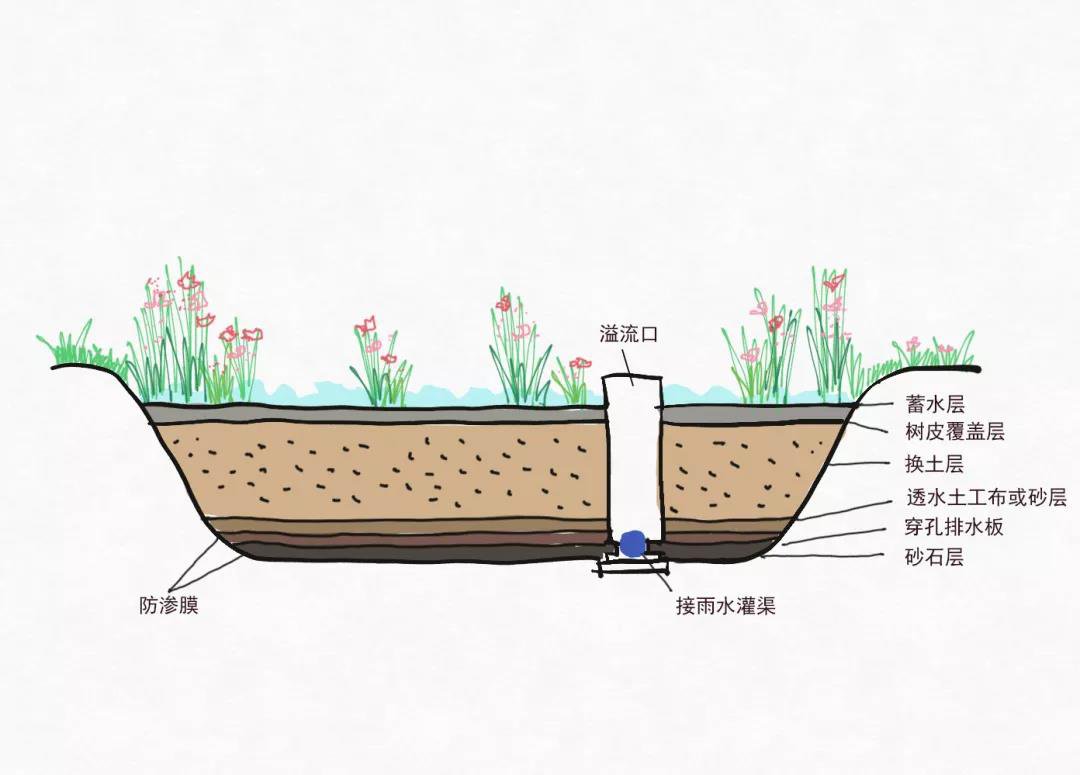 海绵城市设施图解插图6