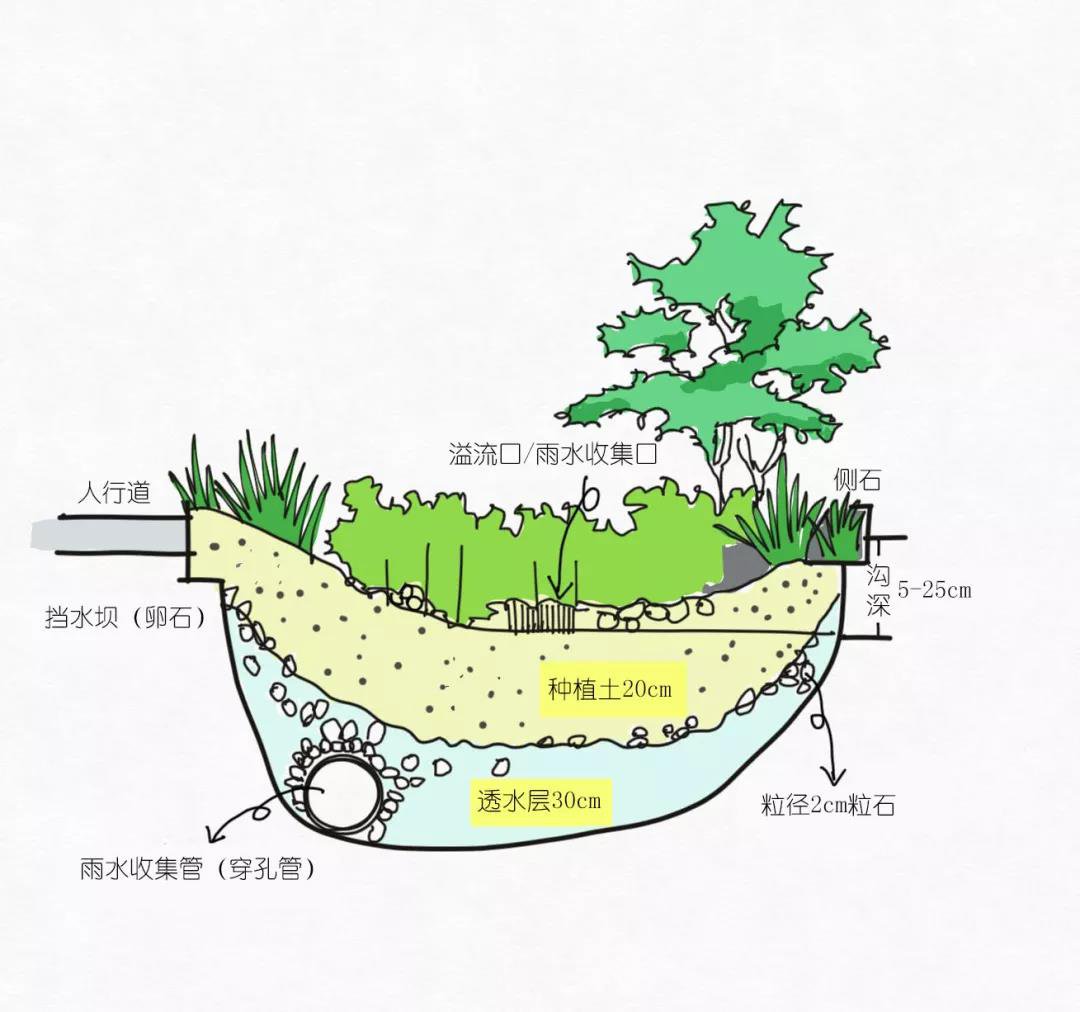 海绵城市手绘分析图图片