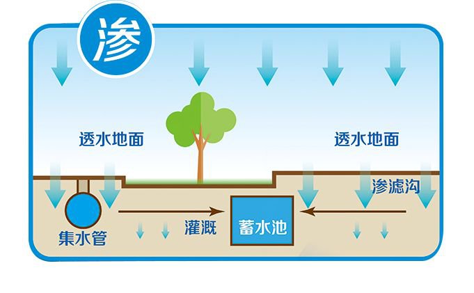 如何进行收集利用雨水插图3