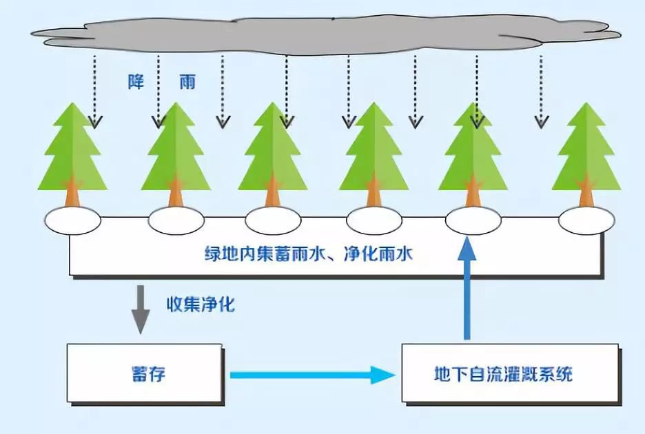 如何进行收集利用雨水插图9