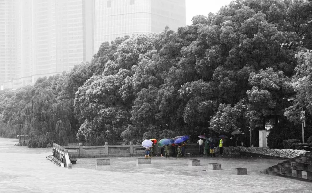 雨水花园工程案例插图1