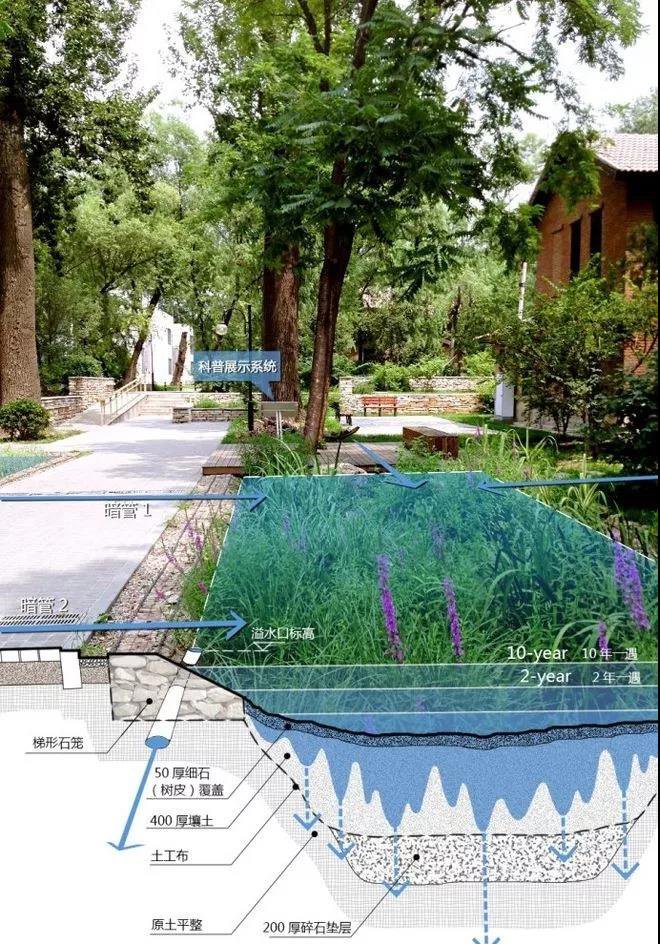 雨水花园工程案例插图8