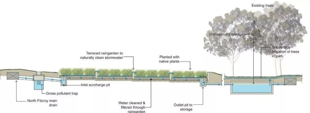 雨水花园工程案例插图24