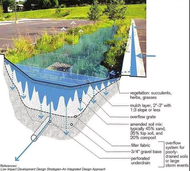雨水花园工程案例插图11
