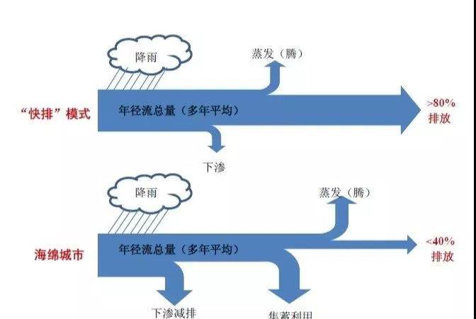 雨水花园工程案例插图