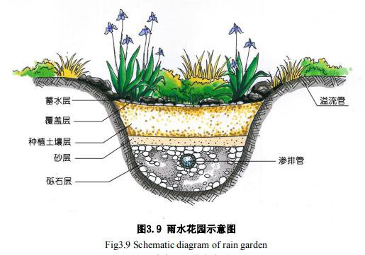 工业园怎么收集雨水插图9