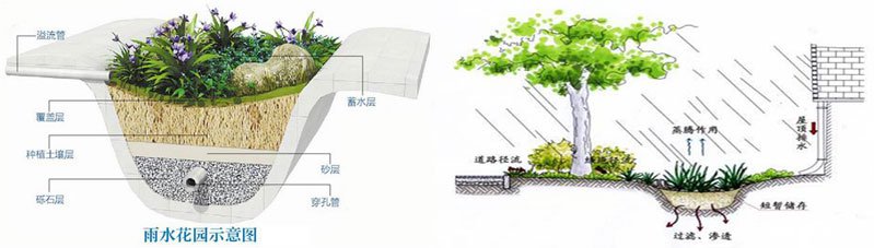 雨水生态收集处理雨水花园