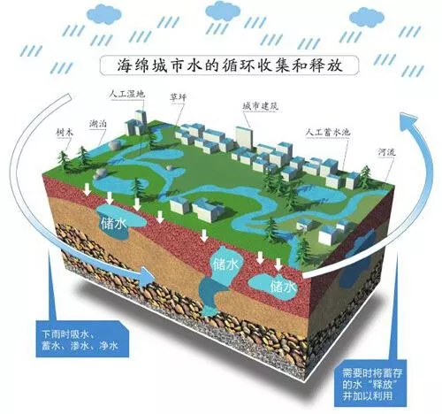海绵城市与人工湿地插图