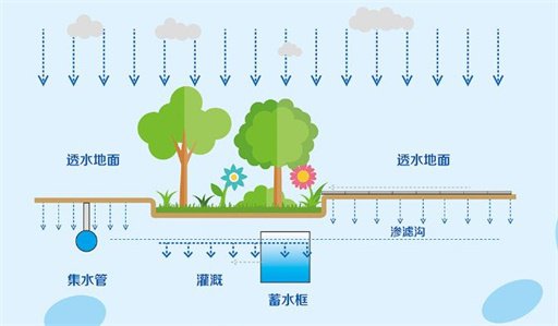 大城市是怎么收集利用雨水的插图1